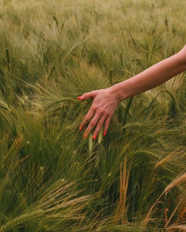 What Does It Actually Mean to Live Naturally in 2026?