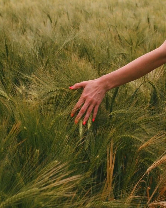 What Does It Actually Mean to Live Naturally in 2026?