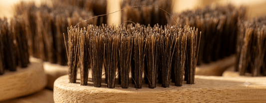 Is a Horsehair Toothbrush Hygienic? Here's the Truth