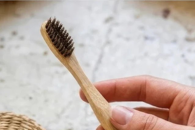 Do Natural-Bristle Toothbrushes Clean as Well as Nylon?