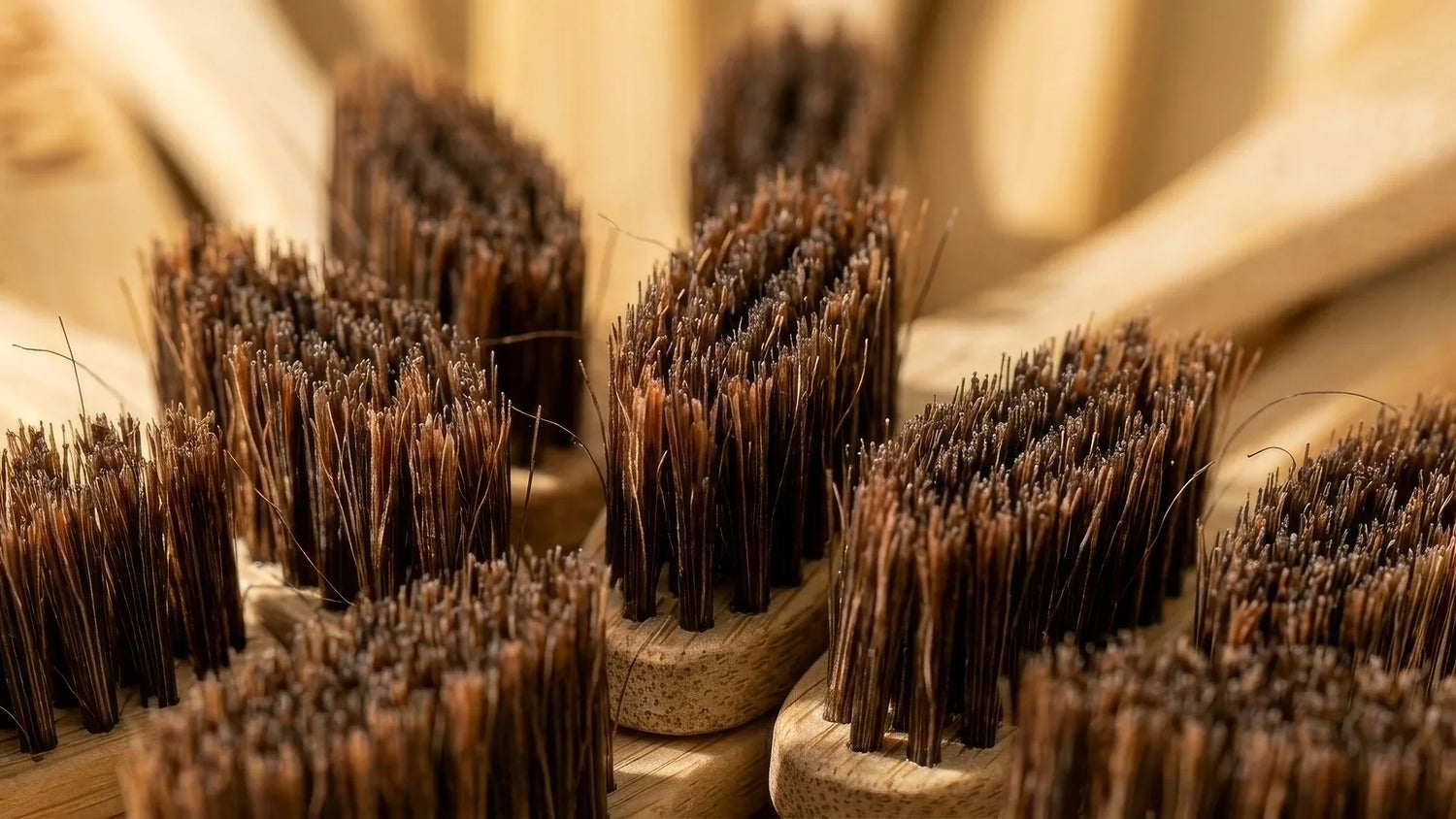 Are Horsehair Toothbrushes Safe? (Direct Answer)
