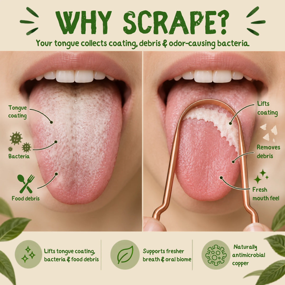An infographic-style promotional graphic with the headline 'WHY SCRAPE?' and a split-screen close-up of a human tongue being scraped with a copper tongue scraper. Text labels point to tongue coating, bacteria, food debris, lifting coating, removing debris, and a fresher mouth feel.